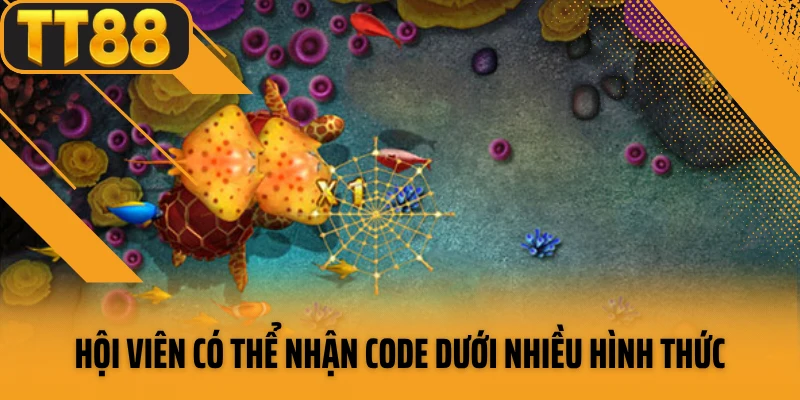Hội viên có thể nhận code dưới nhiều hình thức